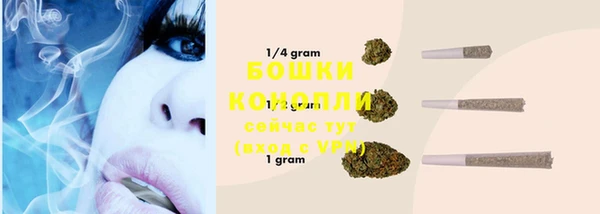 бошки Бородино