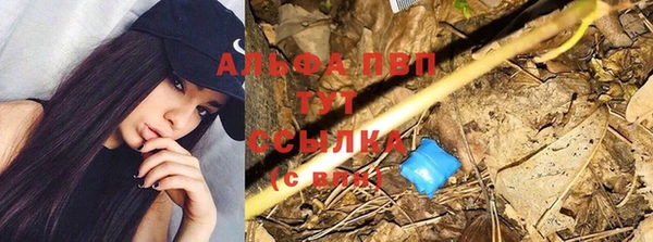 прущий лед Бронницы