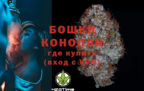 бошки Бородино