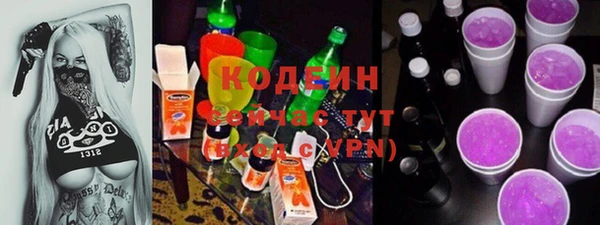 бошки Бородино