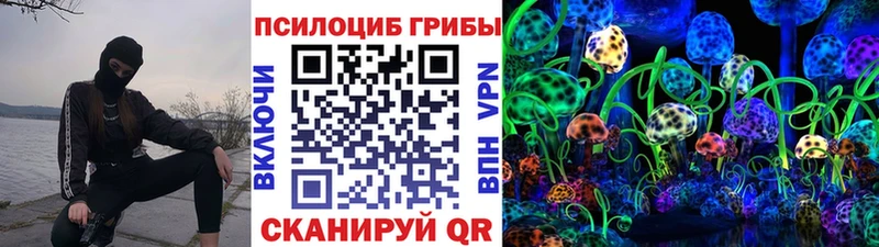 Купить  Горняк  Псилоцибиновые грибы мухоморы 