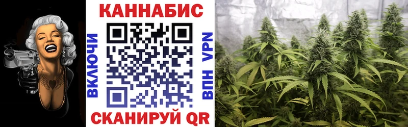Купить закладки  Горняк  Бошки марихуана семена 